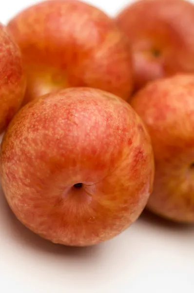 Pluots fruit hybride pruim en abrikoos — Stockfoto