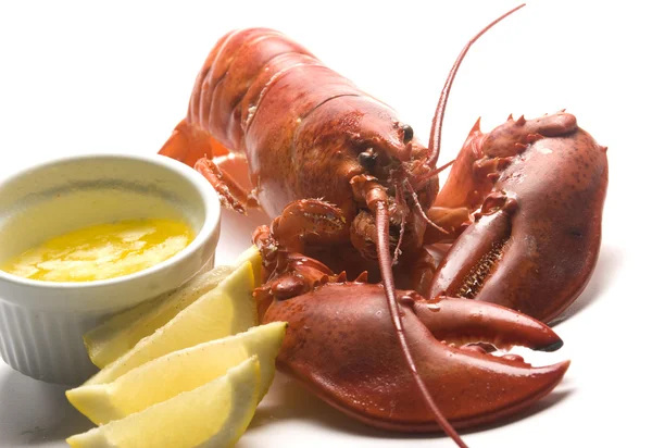 Langosta cocida con mantequilla y rodajas de limón — Foto de Stock