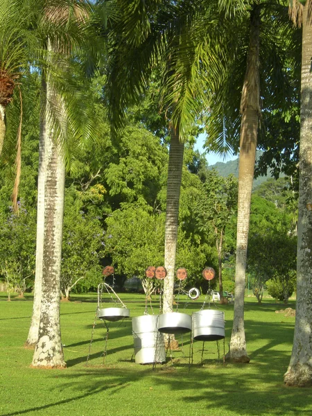 Діжки зі сталі Королівський ботанічний сад порт Іспанії Тринідад — стокове фото