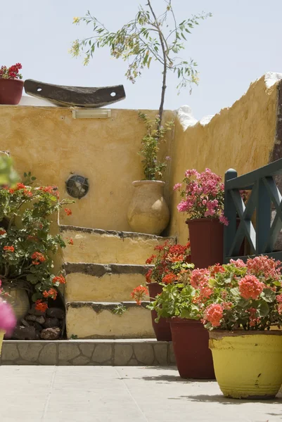 Flower display greek islands — Stock Photo, Image