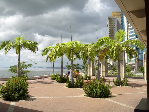 Puerto de desarrollo frente al mar de trinidad de España — Foto de Stock