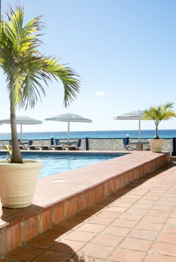 Yüzme Havuzu Karayip Denizi barbados
