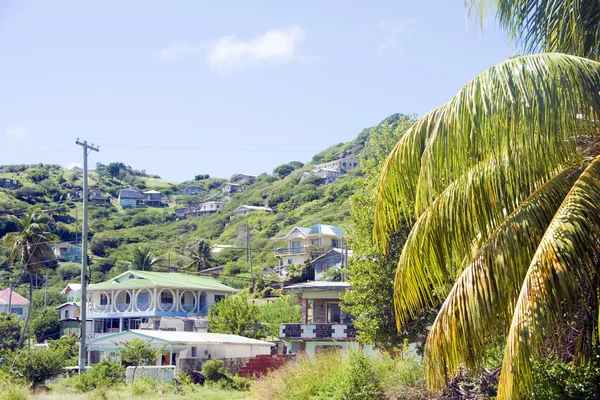 Landscape houses Clifton Union Island St. Vincent and the Grena — Stock Photo, Image