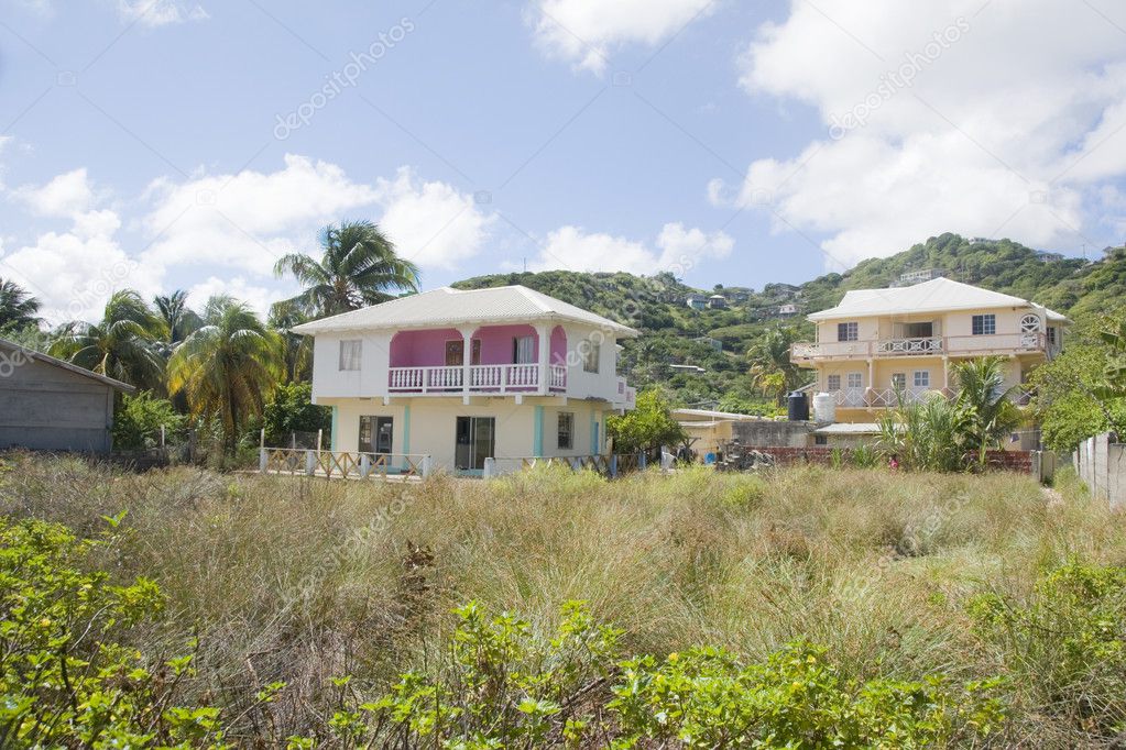 Landscape and caribbean house