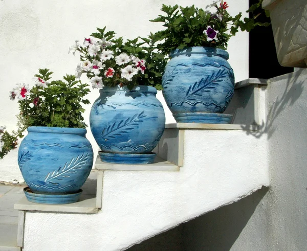 Flower pots — Stock Photo, Image