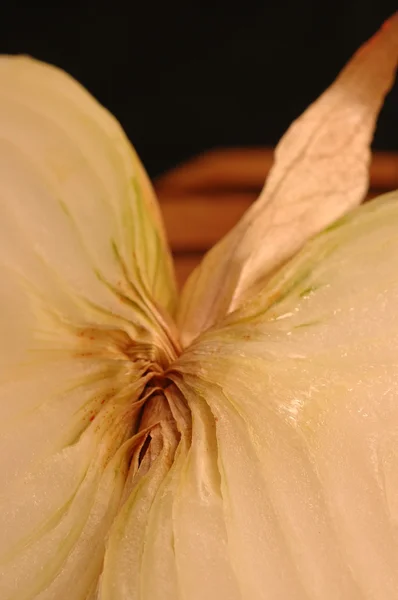 Vidalia cibule — Stock fotografie