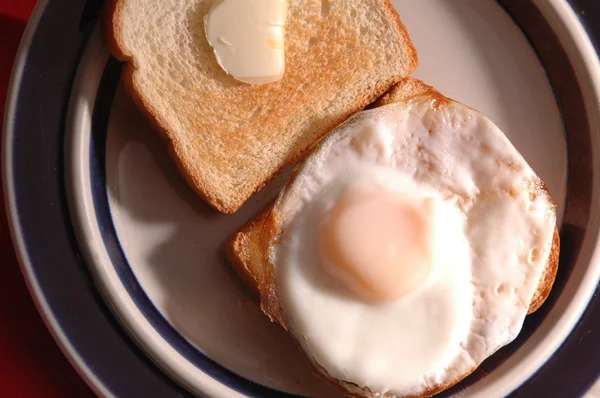 Egg on toast — Stock Photo, Image