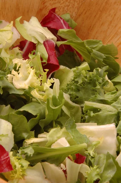 European salad — Stock Photo, Image