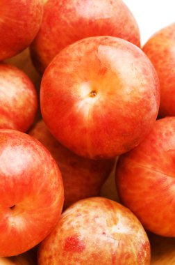 pluots meyve hibrid Erik ve kayısı