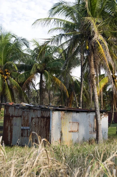 Typical house corn island nicaragua — Stock Photo, Image