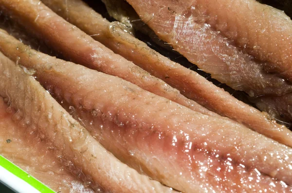 Flat fillets of anchovies in can — Stock Photo, Image