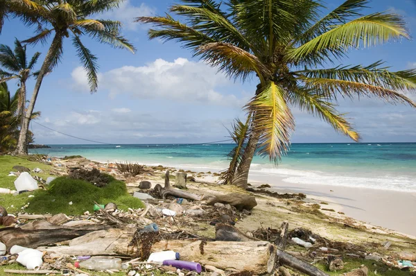 Sallie pfirsich strand abfall malecon nordend maisinsel nicara — Stockfoto