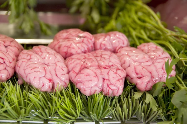 Koe hersenen in slagerij — Stockfoto