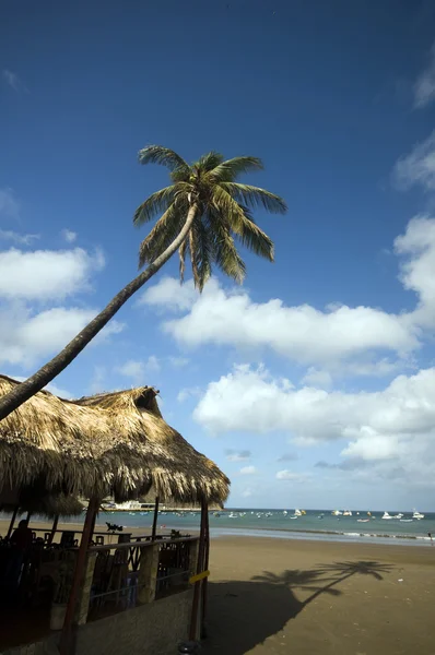 Oceano frente praia telhado de palha restaurante nicarágua — Fotografia de Stock
