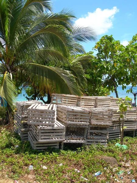 Langosta trampas isla de maíz nicaragua — Foto de Stock