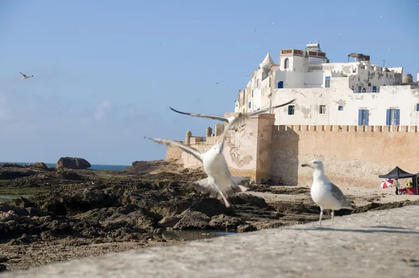 Oude stad essaouira Marokko stadswallen — Stockfoto