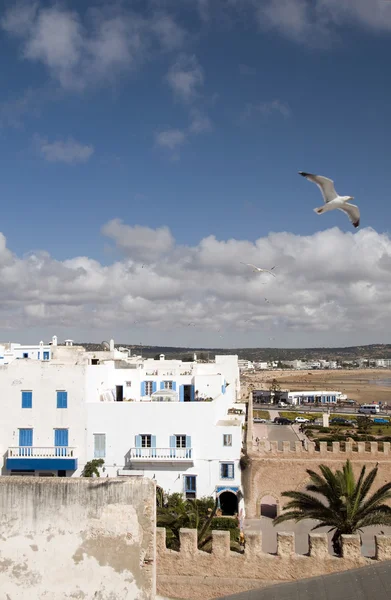 Střešní view beach a budovy essaouira Maroko — Stock fotografie