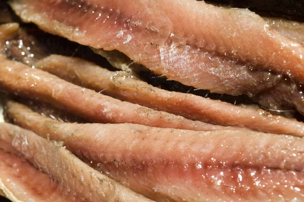 Flat fillets of anchovies — Stock Photo, Image