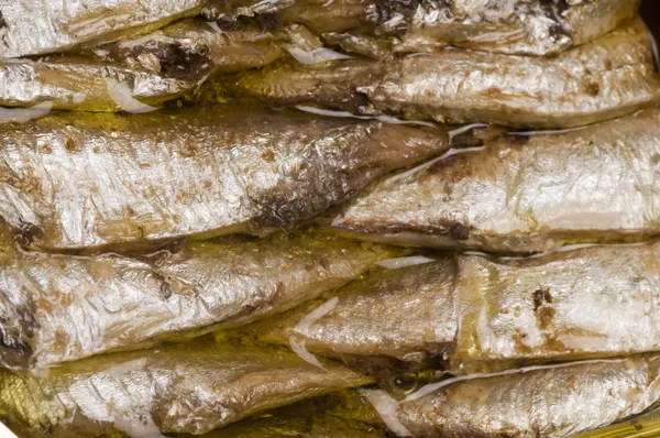 Norwegian sardines in can — Stock Photo, Image