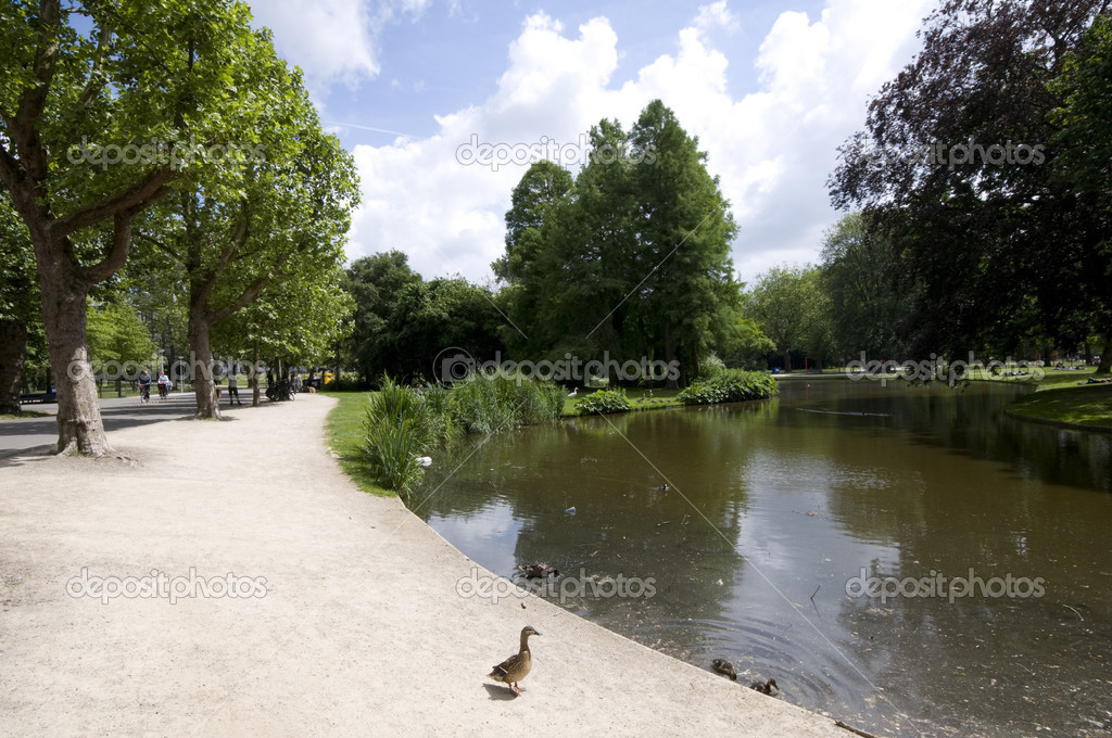 Pond With Ducks Vondel Park Amsterdam Stock Photo Image By C Rjlerich