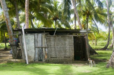 depolama döken orman mimarisi büyük Mısır ada nicaragua