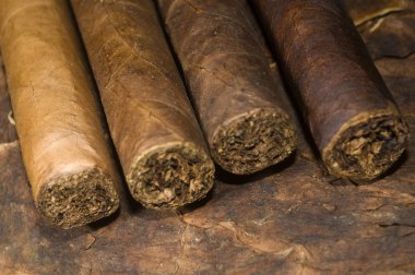 el Nikaragua puroları Tütün yaprağı haddelenmiş.