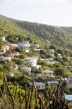 dağ bequia st. vincent üzerinde konut mahalle