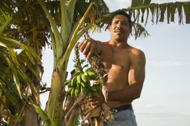 native Nicaragua man with banana plantains