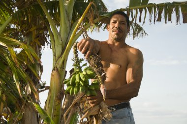 native Nicaragua man with banana plantains clipart