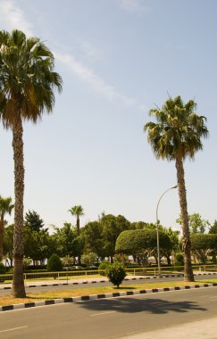 yaya sahil mesire limassol-lemesos Kıbrıs