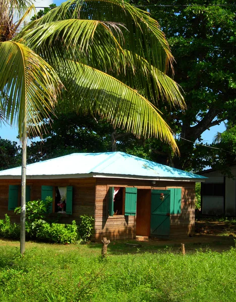 Родной дом в джунглях Кукурузный остров Никарагуа — стоковое фото