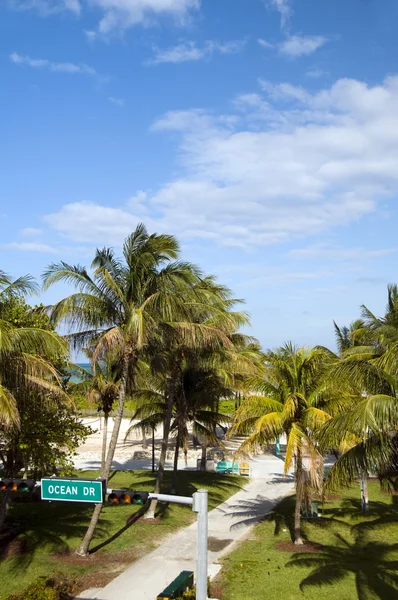 Ocean drive vägskylt south beach park miami — Stockfoto
