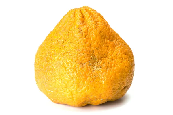 Ugli fruit — Stock Photo, Image