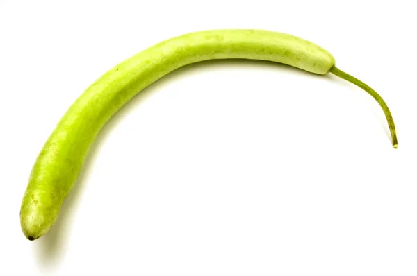 Кабачковий кабачок огірка — стокове фото
