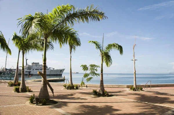 Programa de desenvolvimento beira-mar porto de espanha trinidad — Fotografia de Stock