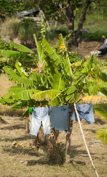 Secagem de roupa nicarágua rural — Fotografia de Stock