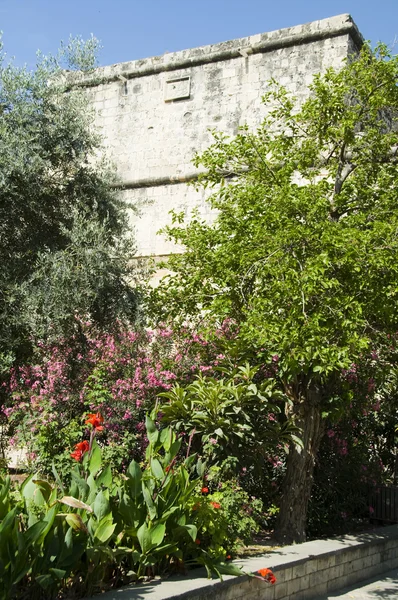 Castelo hisrórico de limassol lemesos cyprus — Fotografia de Stock