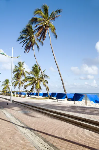 Promenade en bord de mer plage palmiers San Andres Island Colombie — Photo