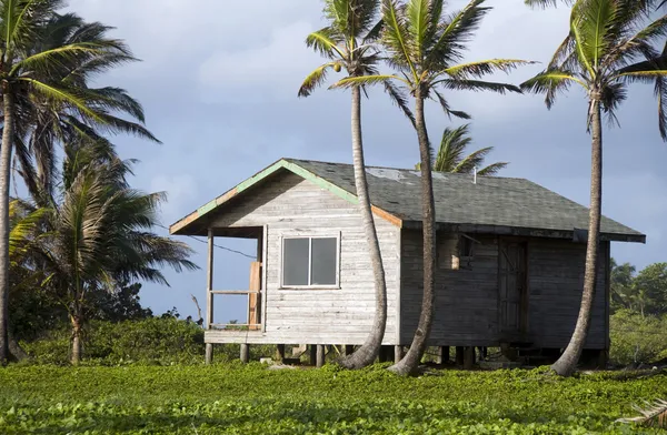 Cabana huis met palm bomen nicaragua — Stockfoto