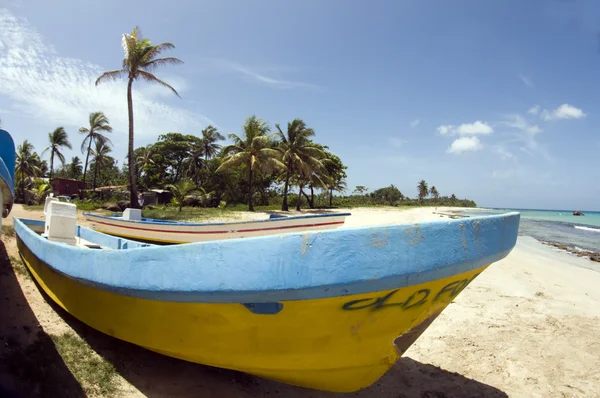 Fishing boat with coconut trees Waula Point Corn Island Nicaragua — Stock Photo, Image