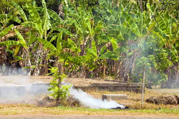 Spazzatura bruciando giungla Corn Island Nicaragua — Foto Stock