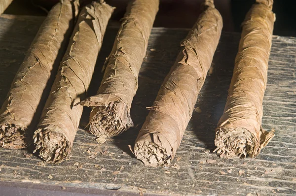 Hand made cigars unfinished — Stock Photo, Image