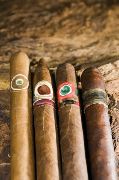 Hand gerold Nicaraguaanse sigaren op tabaksbladeren — Stockfoto
