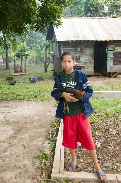 Heureux garçon avec poule chat poulet maïs île nicaragua — Photo