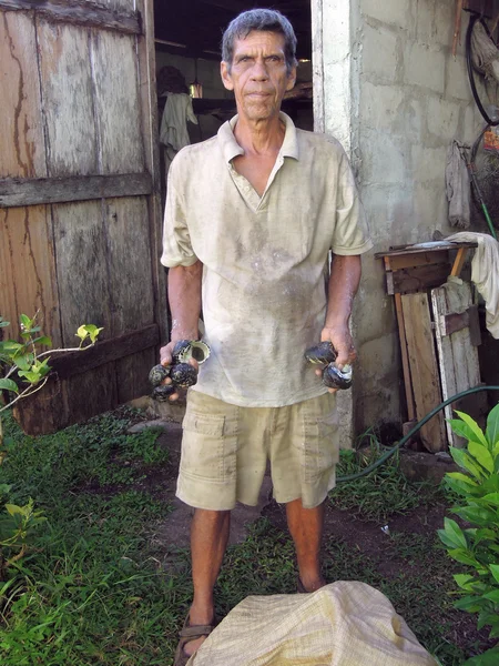 Maisinsel Nicaragua Mann mit frisch gefangenen Schnecken wilks — Stockfoto