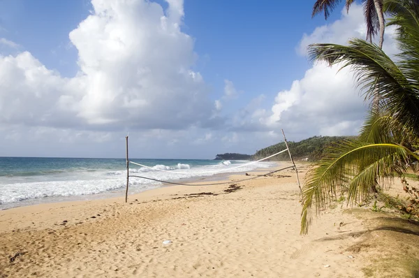 Cocotier plage désolée sac long maïs île de nicaragua — Photo