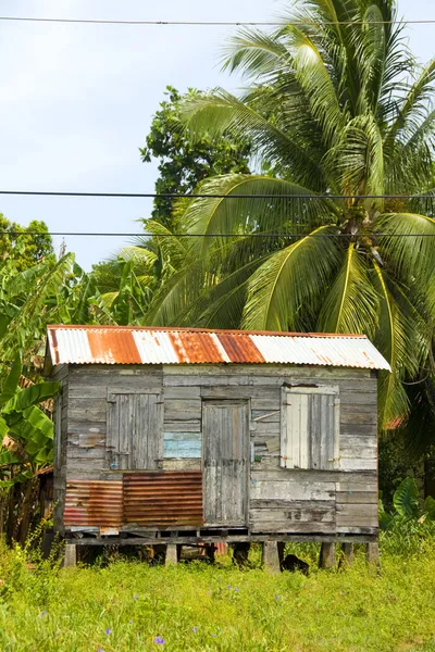 Ramshackle zinco clapboard casa giungla Corn Island Nicaragua — Foto Stock