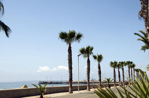 Bilfria strandpromenaden lemesos limassol Cypern — Stockfoto