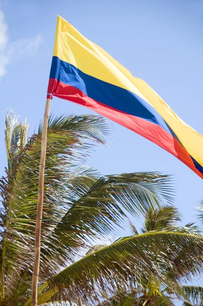 Bandera de Colombia ondeando en palmeras de brisa cocoteros —  Fotos de Stock