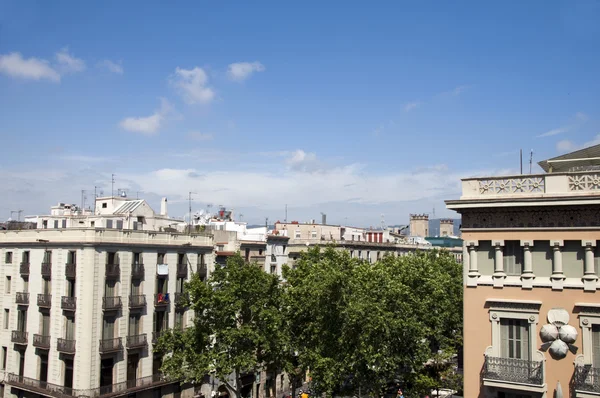 Arquitectura en la azotea parque árboles Gótico La Rambla el distrito Barcelona — Foto de Stock